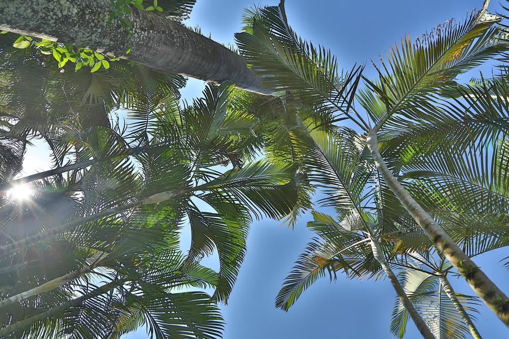 Casa Nostra Boutique Hotel Paraty Buitenkant foto